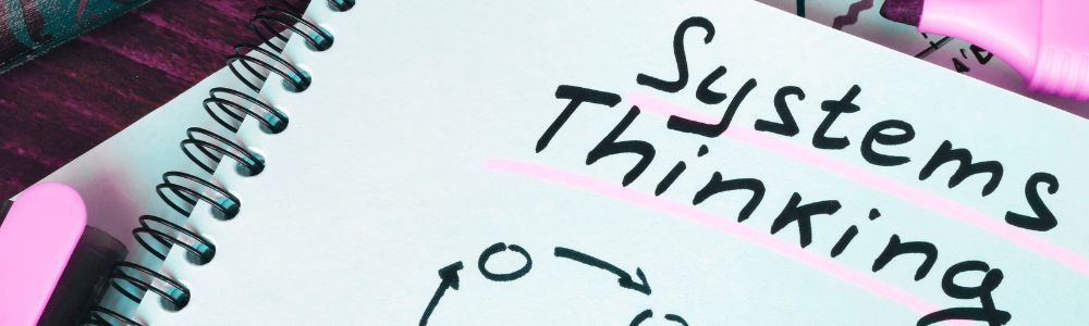 Pensamiento sistémico: Introducción