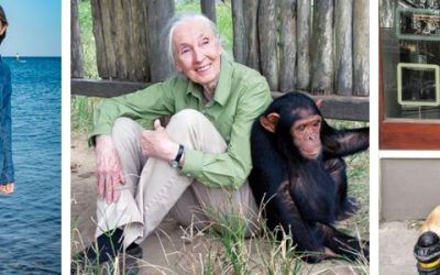 Desafiando estereotipos: Mujeres resilientes superando obstáculos en la defensa de los animales