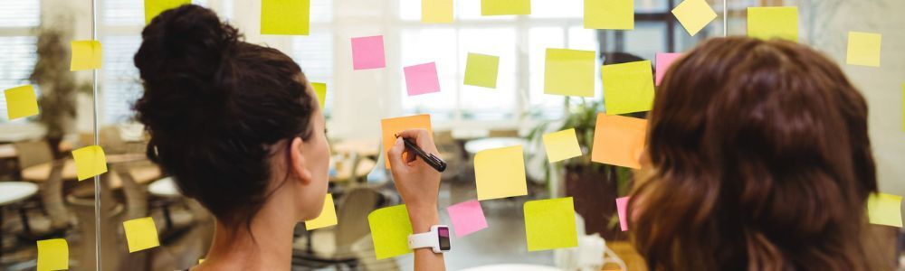 ¡Practica el networking y fortalece tu proyecto!