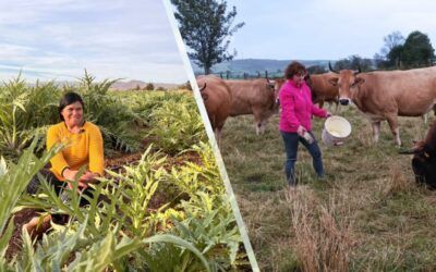 Mujeres Rurales: Emprender en lo rural