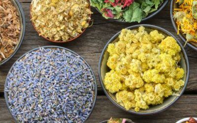 Alimentos que curan: lo que las sabias de antes ya sabían (y la ciencia confirma hoy)