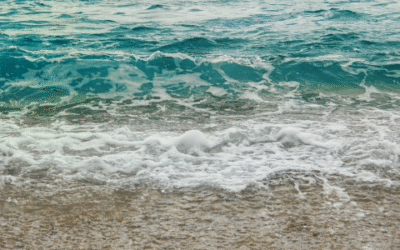 La sabiduría de las pequeñas olas