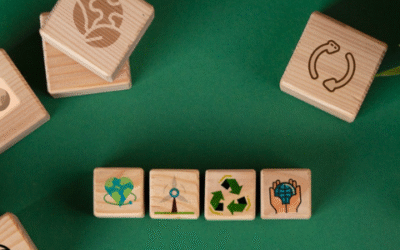 Liderazgo verde y economía circular
