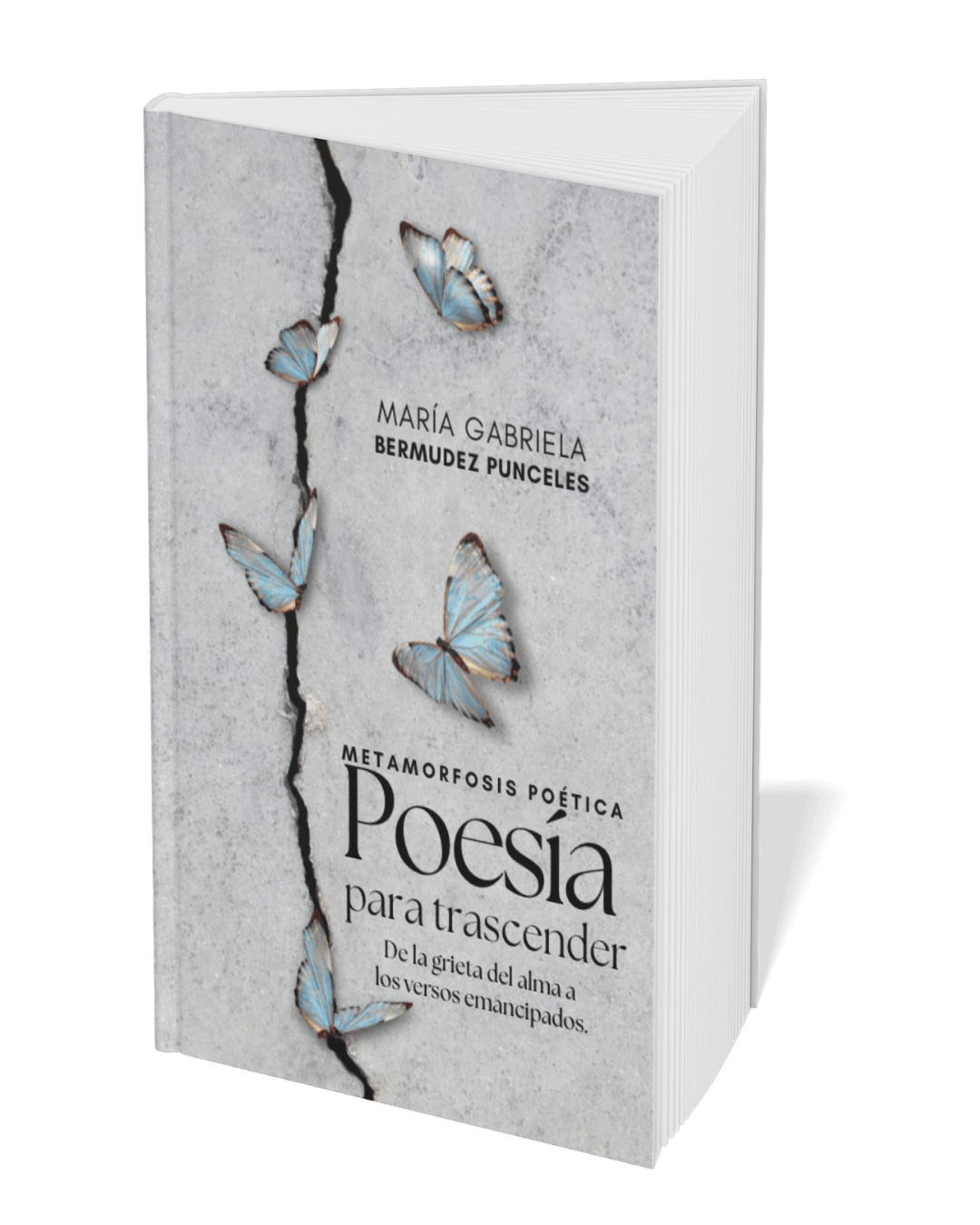 Copia de Promos IG Editorial Programas Publicaciones (5)